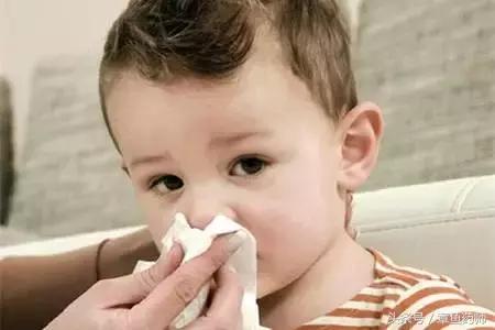 三生三世十里桃花,可惜娃闻不了花花