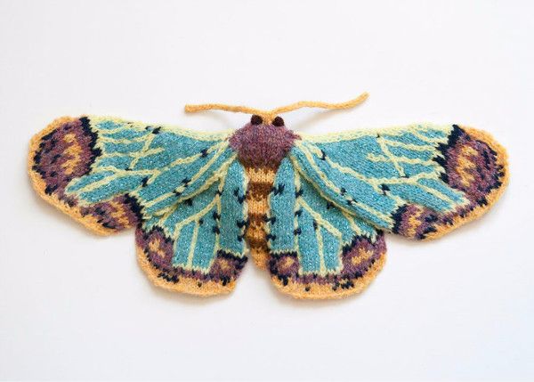 你以为飞蛾都是灰蒙蒙的吗？她用毛线再造灭绝飞蛾惊艳所有人！