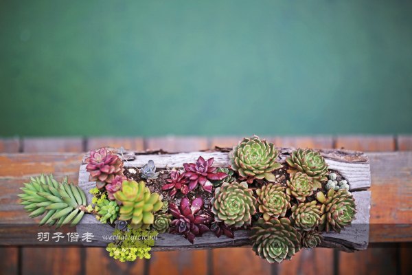 居于涟岸隐于湖，到肇庆体验离尘不离城的精致慢生活