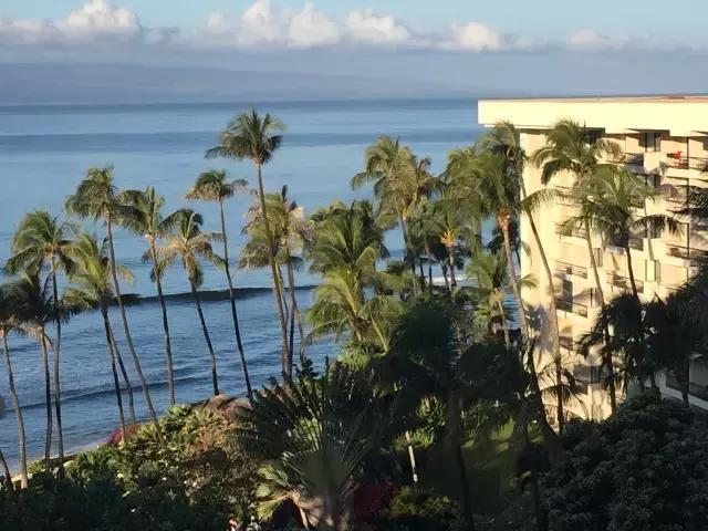 夏威夷毛伊岛旅行记 (毛伊岛旅游必做的100件事)