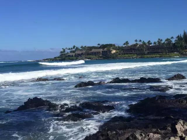 夏威夷毛伊岛旅行记 (毛伊岛旅游必做的100件事)
