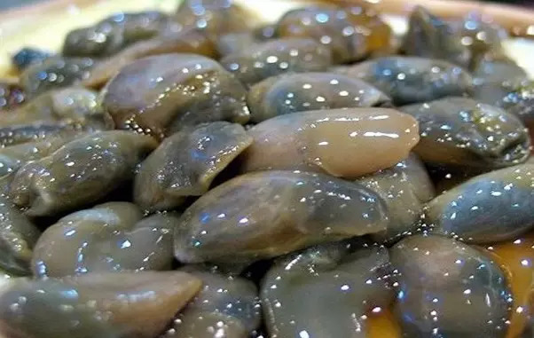 多种海鲜好吃美味来了解一下,海鲜美食大汇总