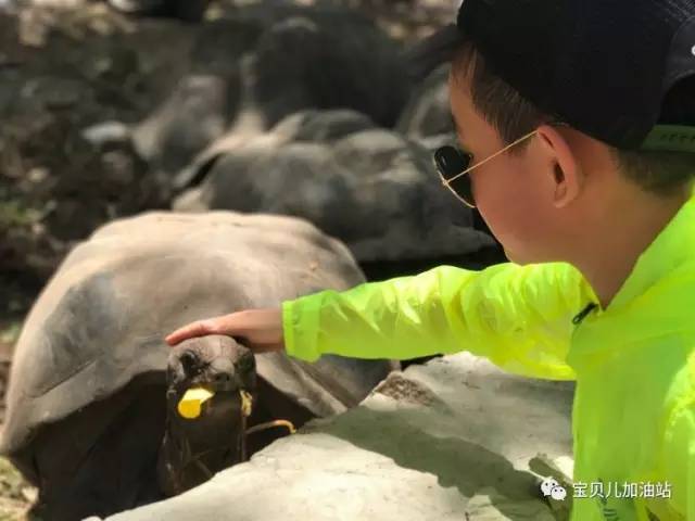 塞舌尔游记,塞舌尔埃及