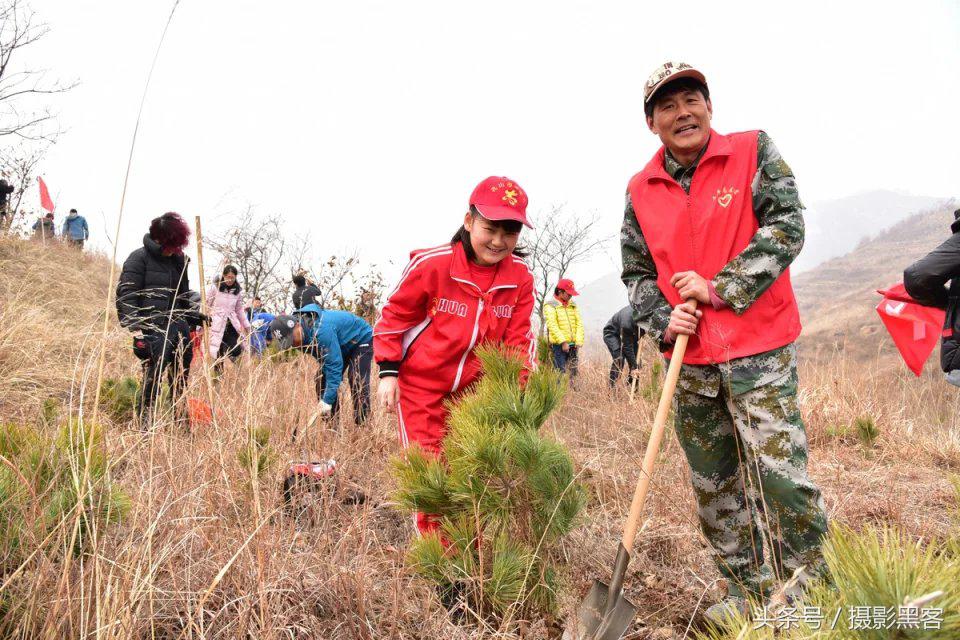 为什么让小学生上山植树造林，看完老师写的图文就明白
