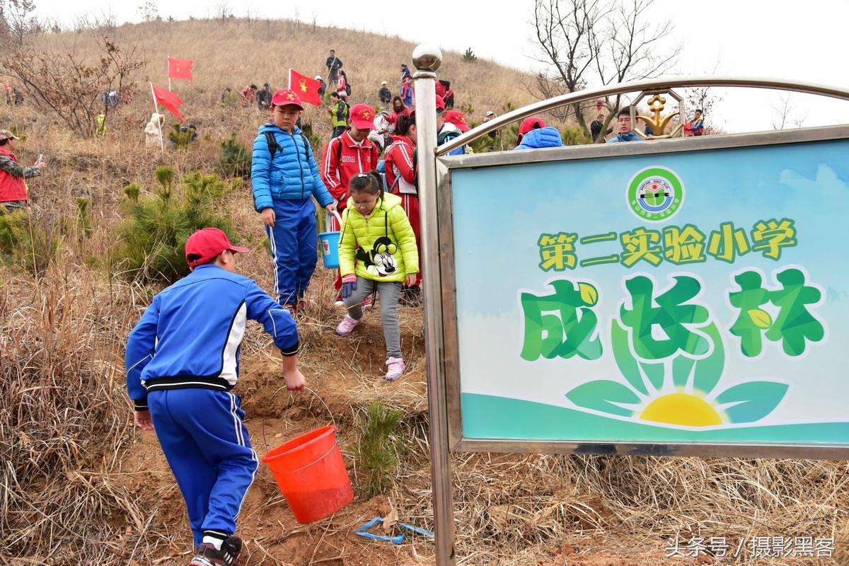 义务植树与创建森林城市,共建文明城市小学生