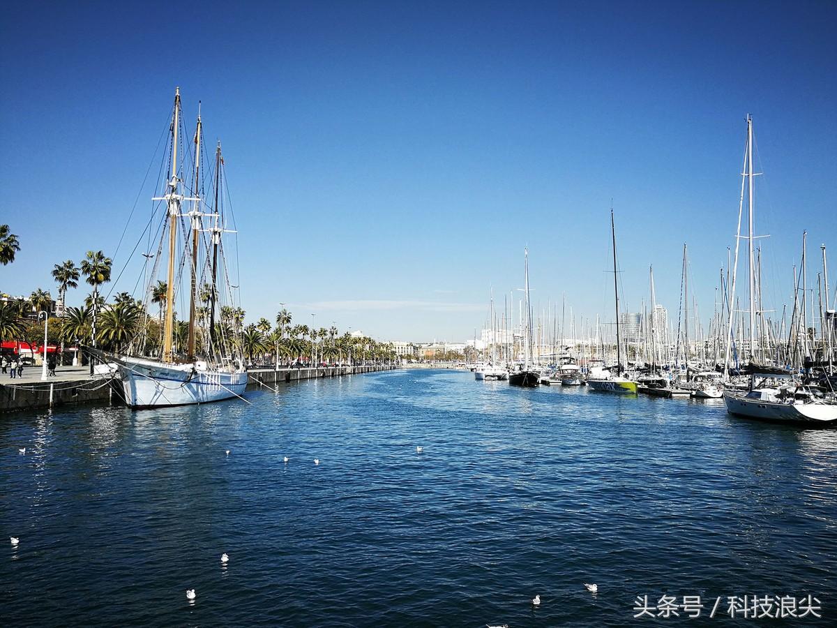 p10拍照评测,p10plus拍照