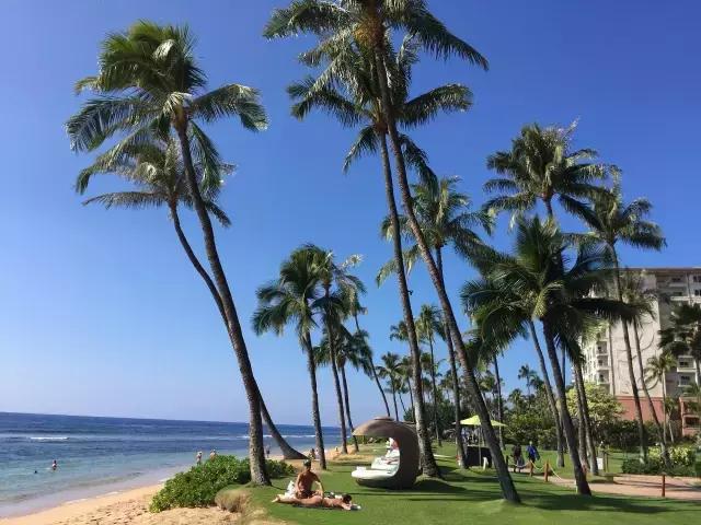 夏威夷毛伊岛旅行记 (毛伊岛旅游必做的100件事)