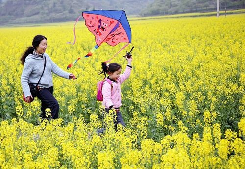 秋冬季宝宝穿搭指南,冬天小月龄宝宝内搭适合什么