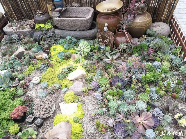 三星新款手机降价周期,韩货在中国滞销