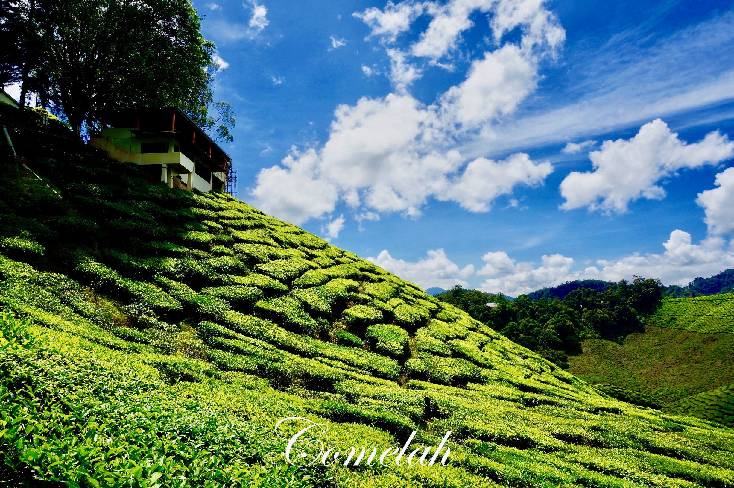 bromo活火山在哪,bromo火山超详细攻略