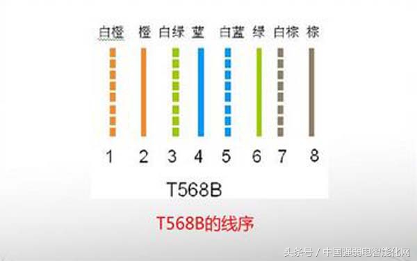 8芯网线中每根线起什么作用,8芯网线连多少根能上网