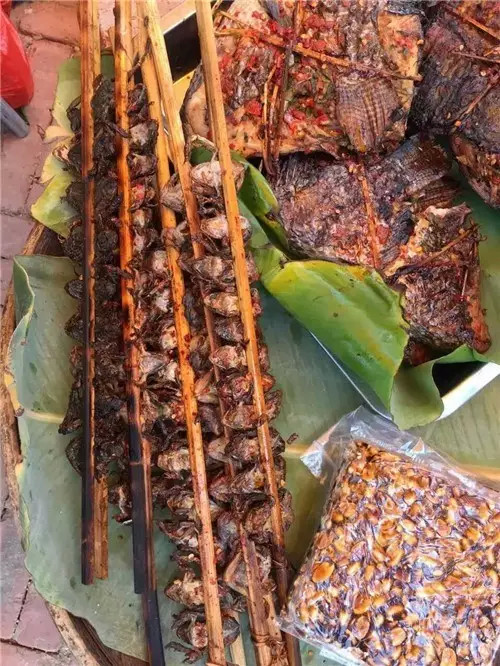 西双版纳旅游好吃的,西双版纳旅游好吃的水果