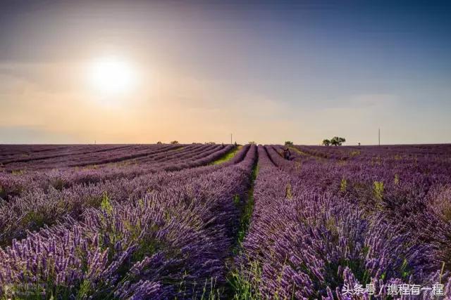 是什么样的国家,公共厕所里竟然只有一个拳头大的壶?
