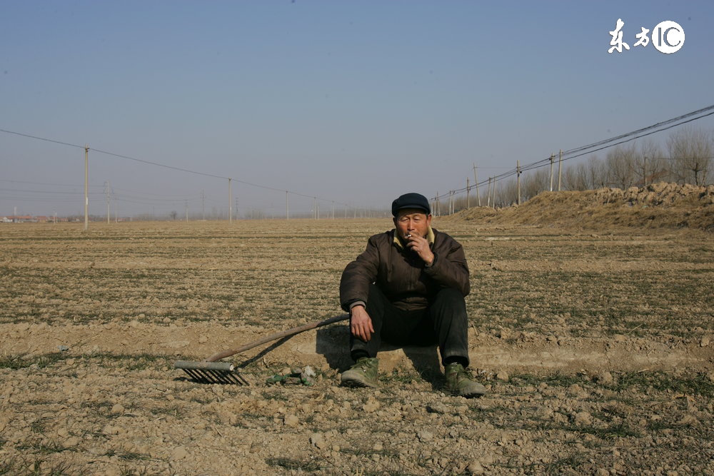 农村土地流转后还有粮补吗,土地流转以后大龄农民靠什么生活