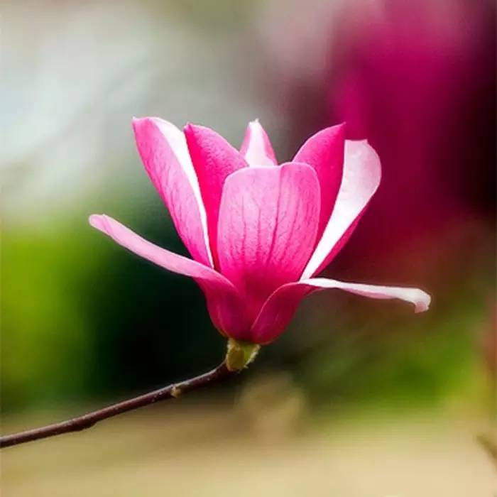 人生的三个境界，你到了哪一层？