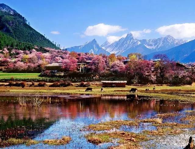 郑州到拉萨10天旅游攻略及花费,郑州到拉萨的沿途城市