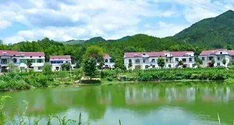 你好，我的名字叫安庆，这是我的最新简历，请多关照！