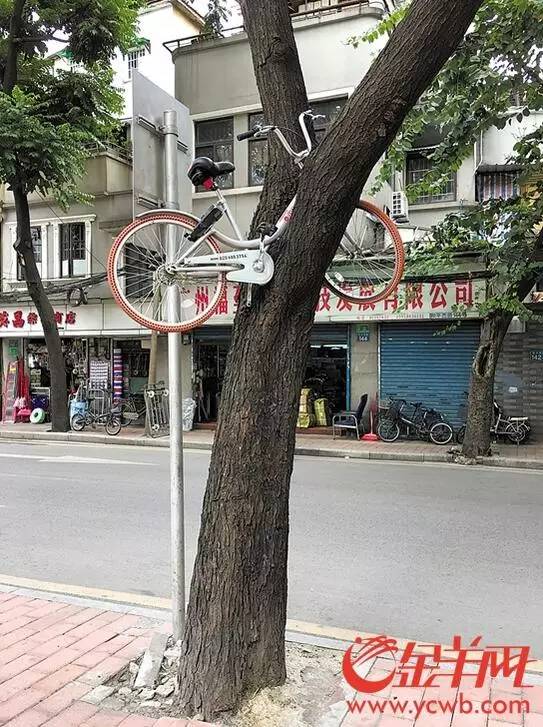 300辆共享电单车亮相,共享单车共投放3000辆