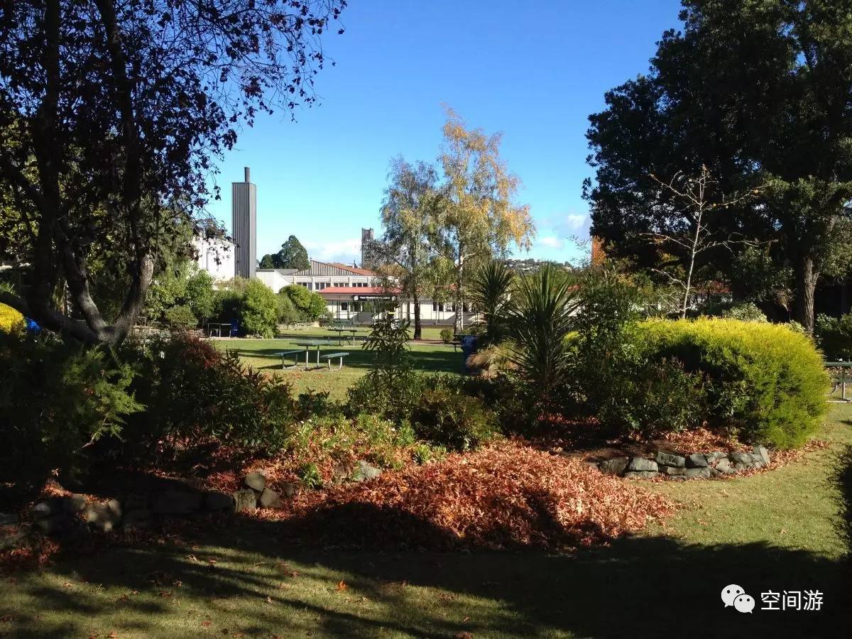 野外捡到玉石要上交国家吗,在野外捡到玉石要上交吗