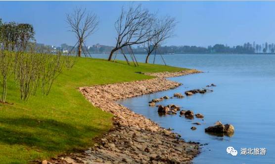 东湖绿道周末人挤人,东湖绿道堵车