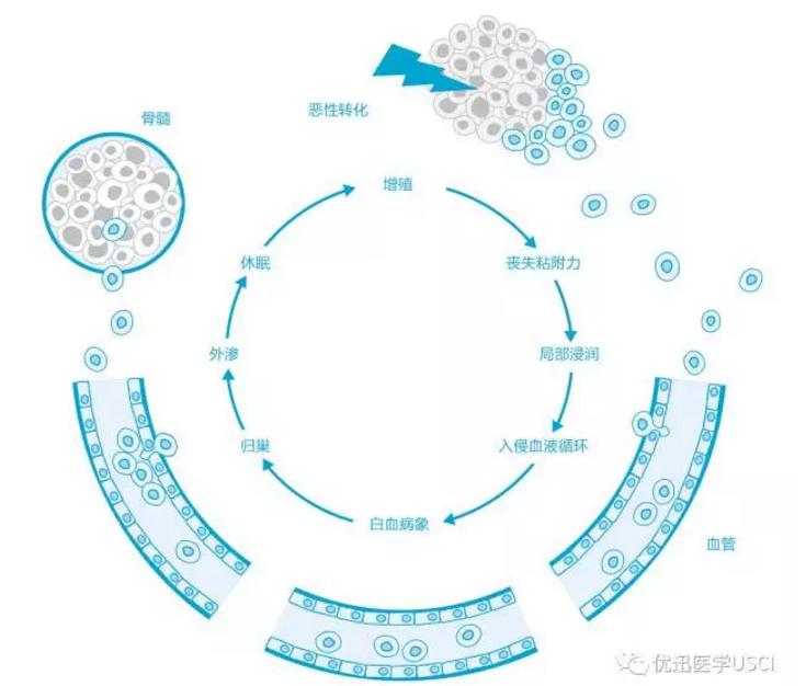 液态活检ctc怎么做,活检是ctc吗