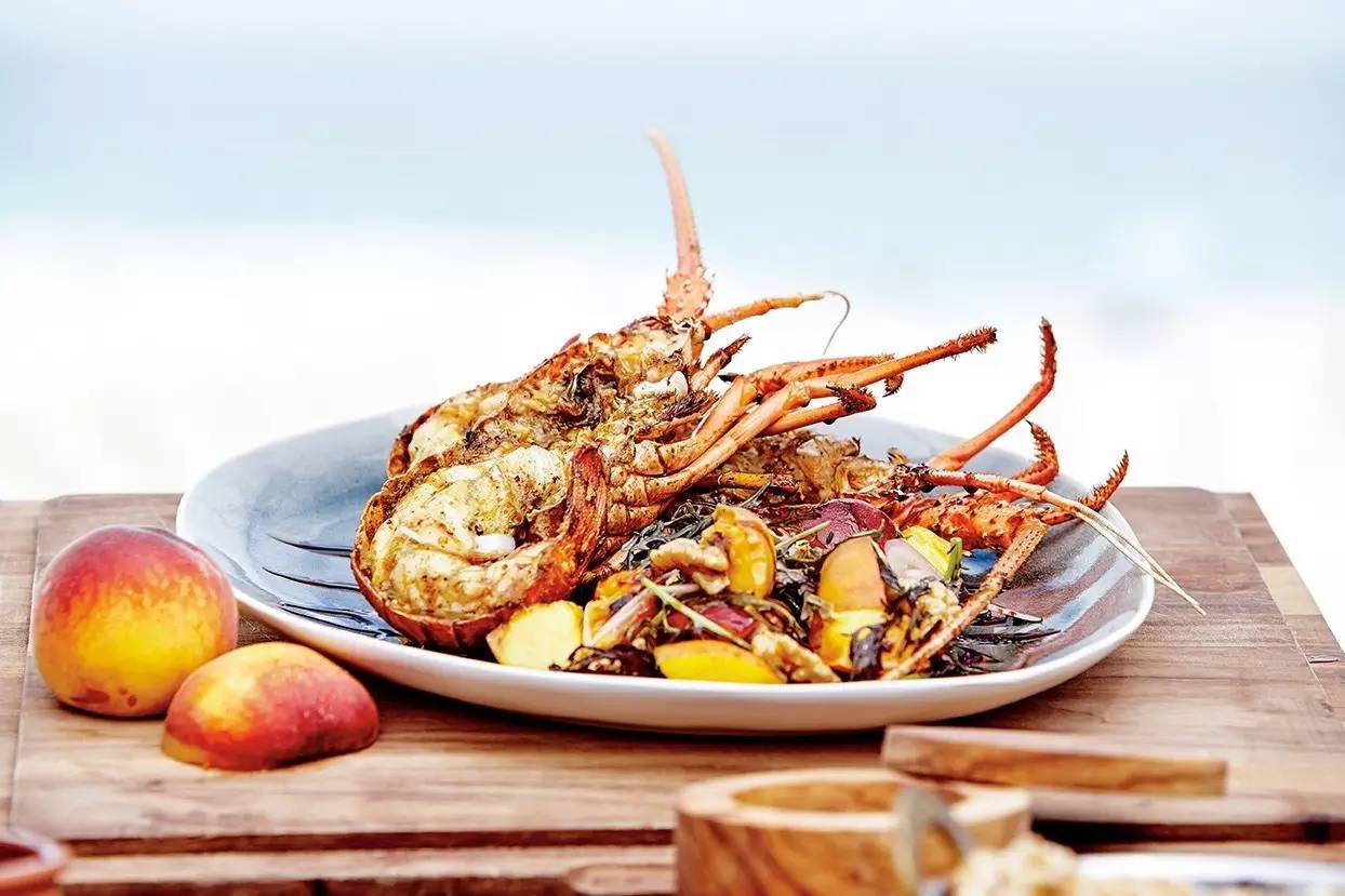 澳洲龙虾怎样捕,澳洲淡水龙虾抓虾方法