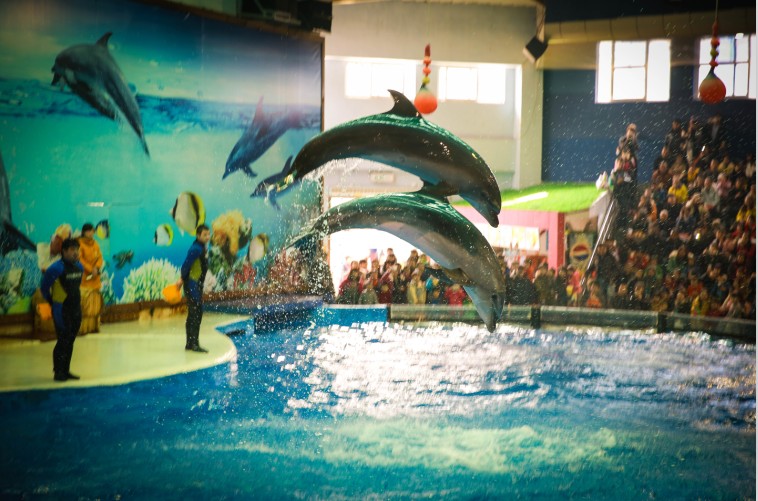 南京春天适合孩子玩的地方,南京情侣适合玩的地方旅游攻略