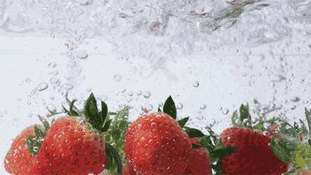 吃遍大连味道,吃遍大连所有的面包