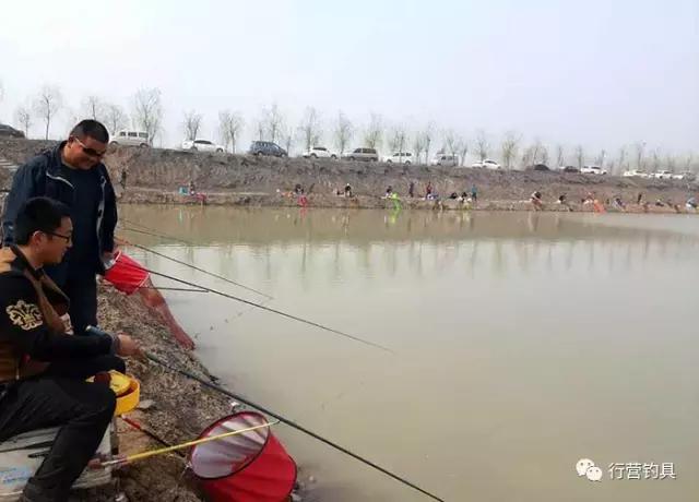 全国钓鱼大赛德州站结果,淮北钓鱼比赛直播