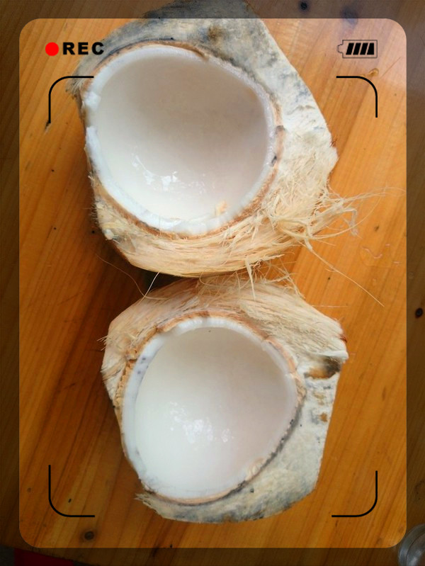 老海骑行海南,骑行海南与星辰大海相遇