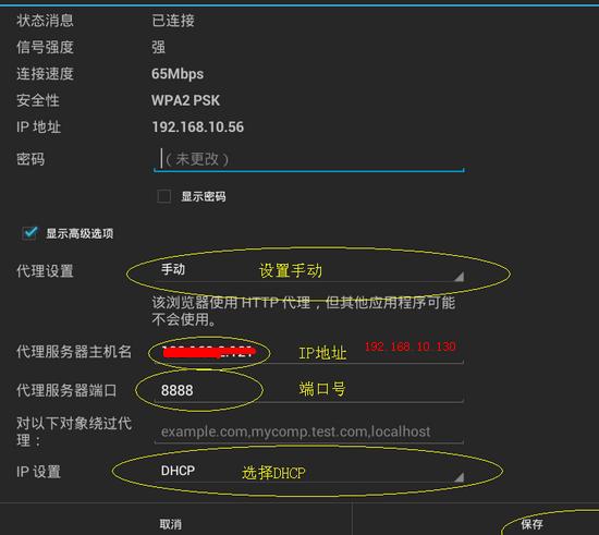 fiddler抓不到包怎么解决,fiddler打不开页面登录失败