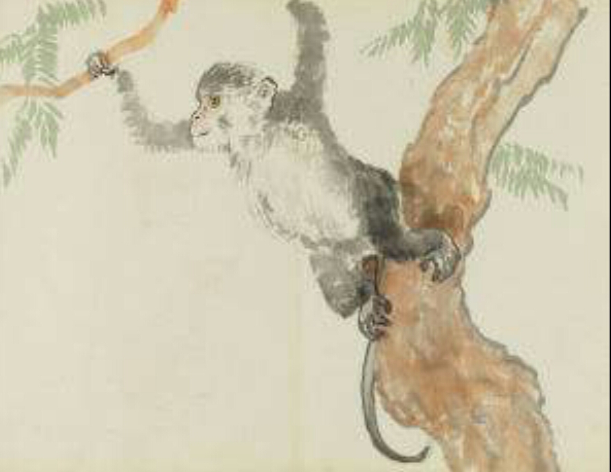 最全十二属相,十二属相都是什么属相