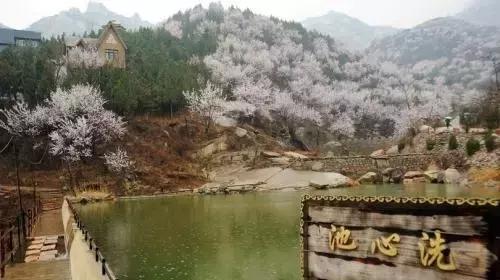 盘点北京38个森林公园,定个小目标完整版免费