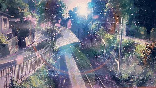 沪上樱花在哪里,沪上赏花