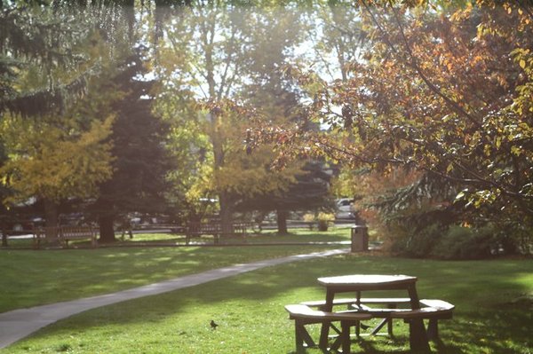 随手一拍都是美景美国大农村,英国随手一拍都是风景