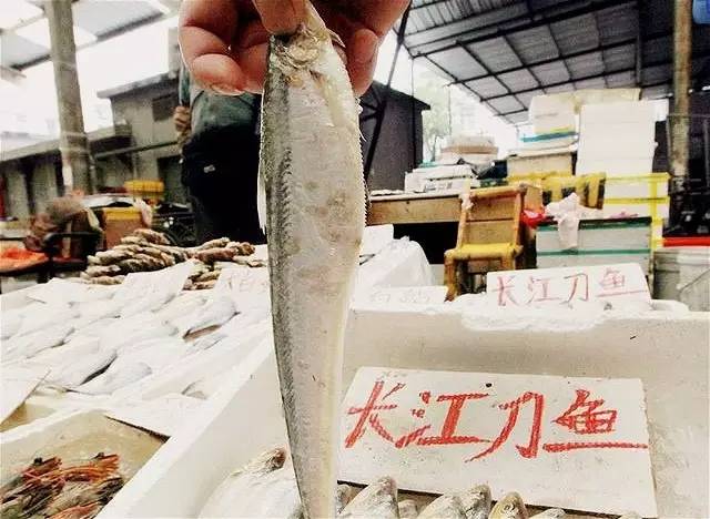 江鲜春季,春天江鲜