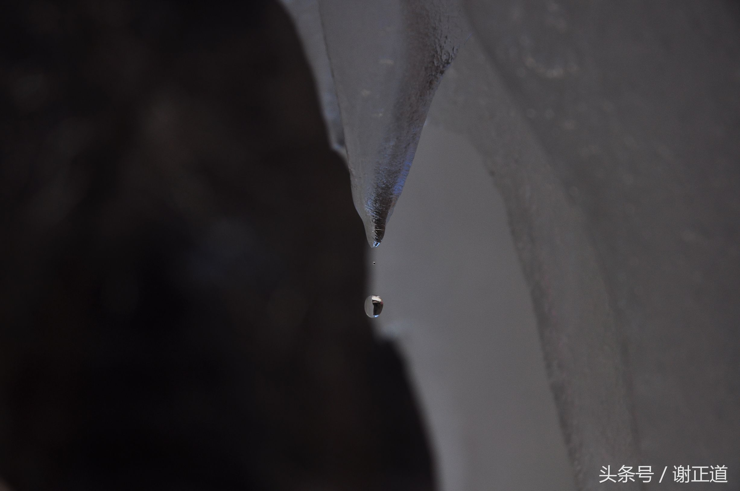 灵寿秋山风景区攻略,灵寿秋山自然风景区电话