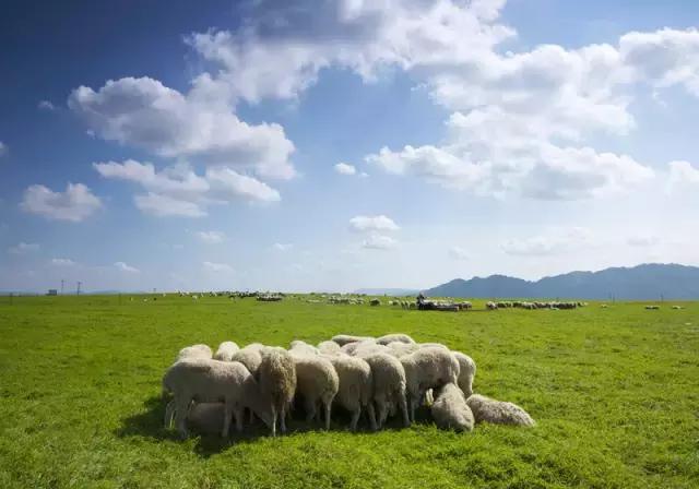贵州最美“旅拍”地，堪比三亚和丽江！