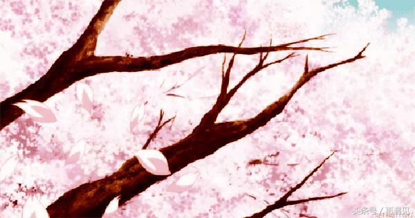 樱花季攻略完整版,樱花上海攻略