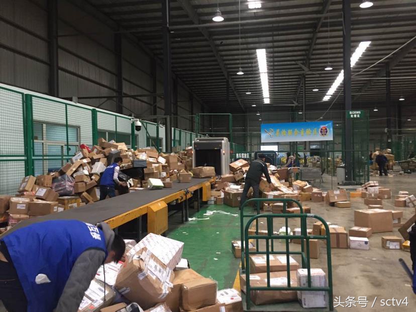 海关截获恐怖昆虫,海关查出的活体昆虫是什么虫