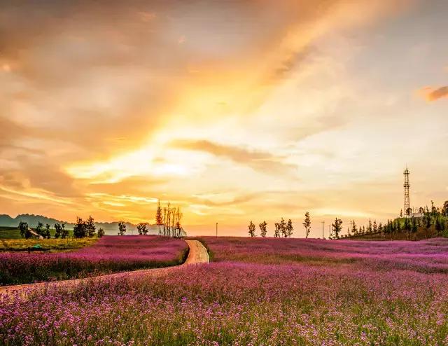 贵州最美“旅拍”地，堪比三亚和丽江！