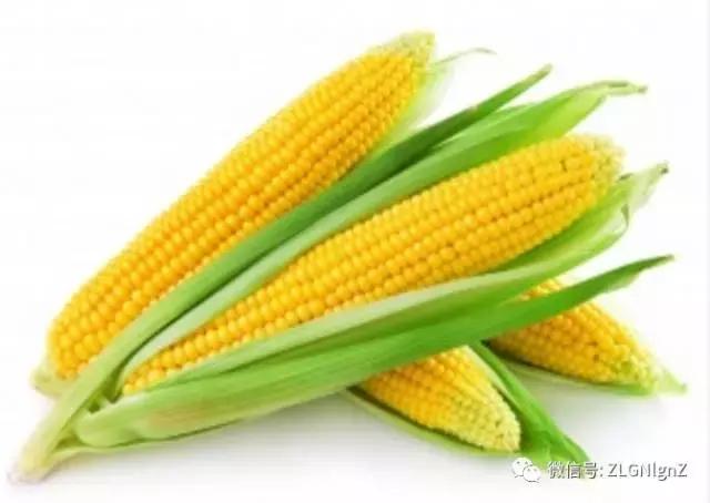 在餐桌上烹饪的菜,在餐桌上的菜