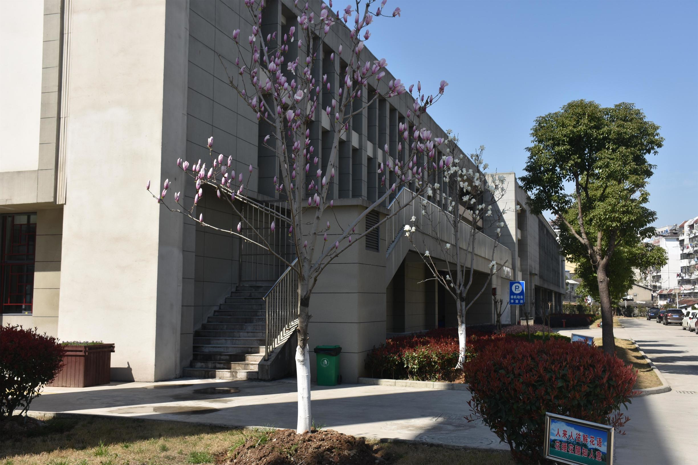 家门口的好学校特色课程,什么样的学校能算一个是好学校