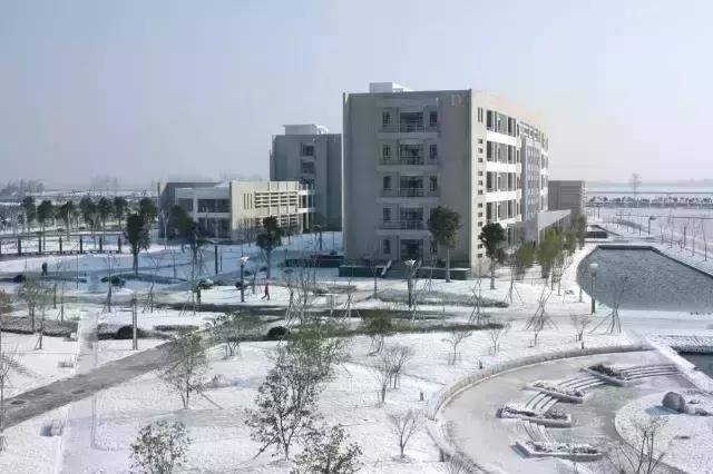 回到2003年的下沙，03级浙小商的青春关键词