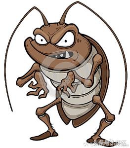 对付小强蟑螂的方法,蟑螂专家灭蟑螂的最好方法