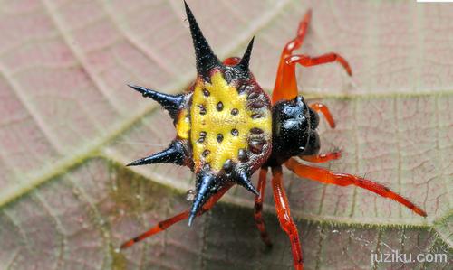 盗墓者自述真实事件,盗墓贼写的真实盗墓笔记