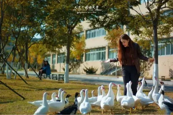 大连外国语大学现在让进吗,大连外国语大学怎么样了