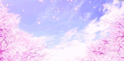 又到樱花季,又到了樱花绽放的季节