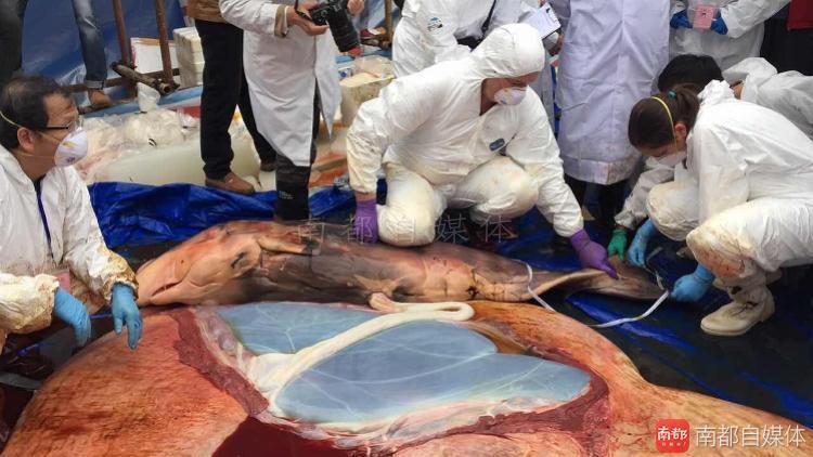 合肥房价跌幅排行榜,合肥二手房价格持续下跌