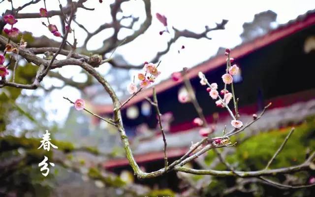 合肥早报新闻,安徽合肥今日新闻直播